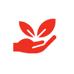 Icon sustainability